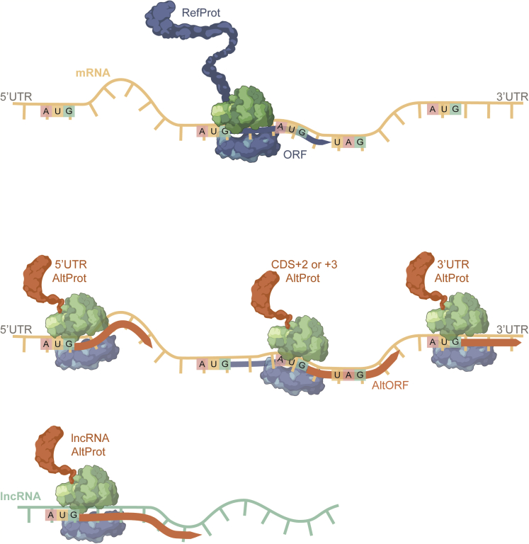 Figure 1