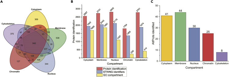 Figure 3