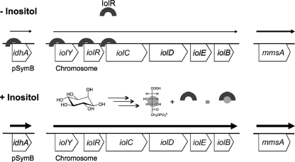 Fig. 8.