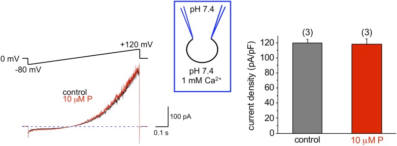 Figure 9.