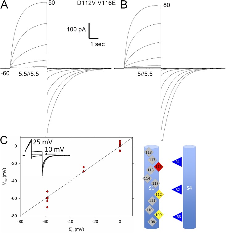 Figure 6.