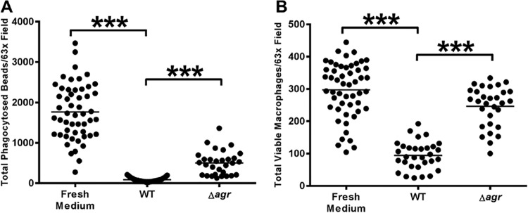 FIG 2 