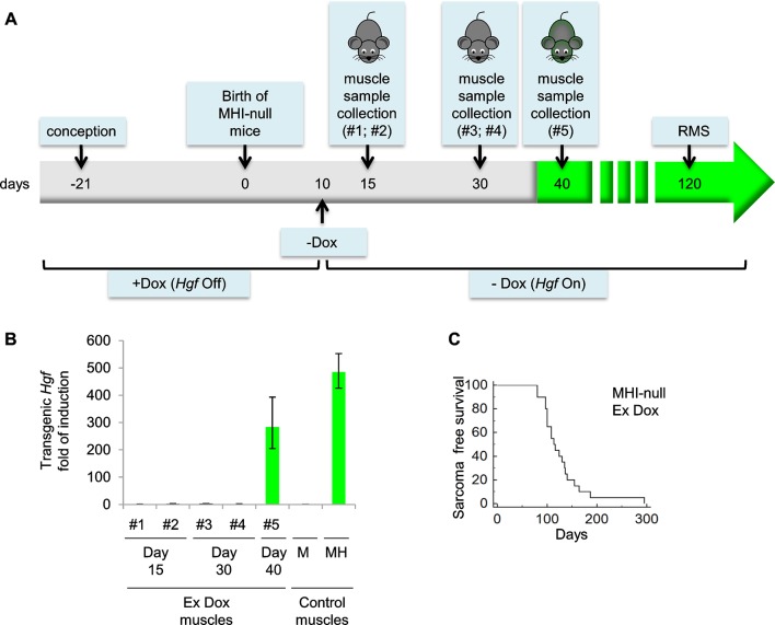 Figure 3—figure supplement 2.