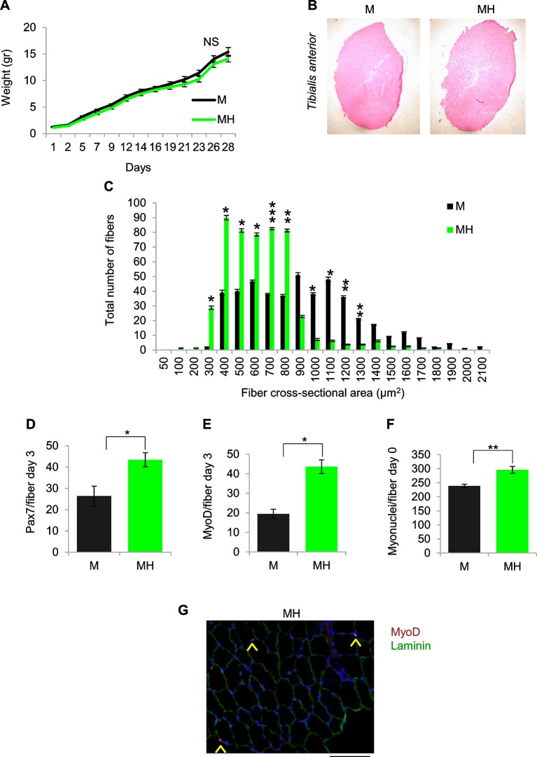 Figure 2—figure supplement 1.