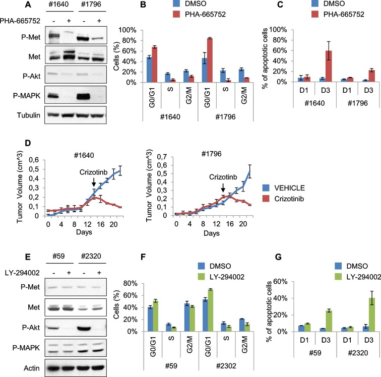 Figure 6—figure supplement 1.