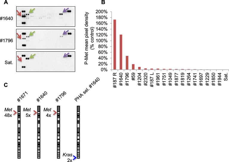 Figure 5—figure supplement 3.