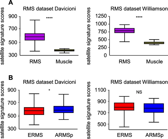 Figure 1—figure supplement 1.