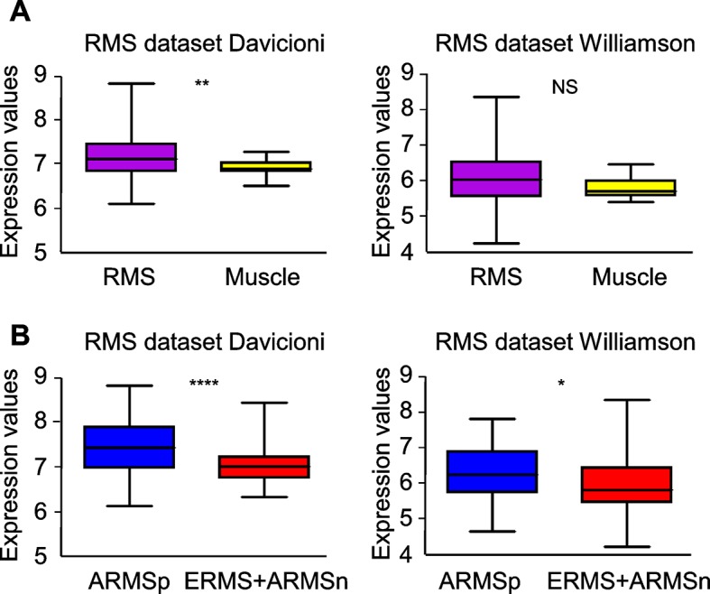 Figure 5—figure supplement 4.