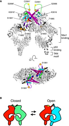 Fig. 4