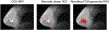 Fig. 3 ∣