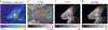 Fig. 6 ∣
