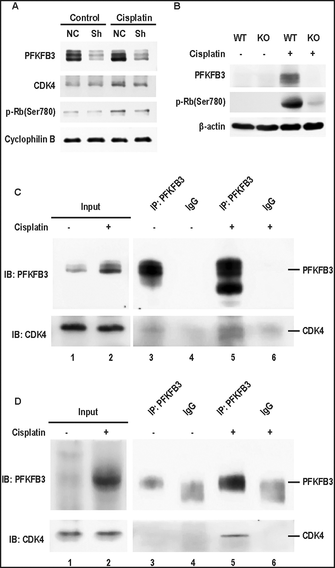 Fig 7.