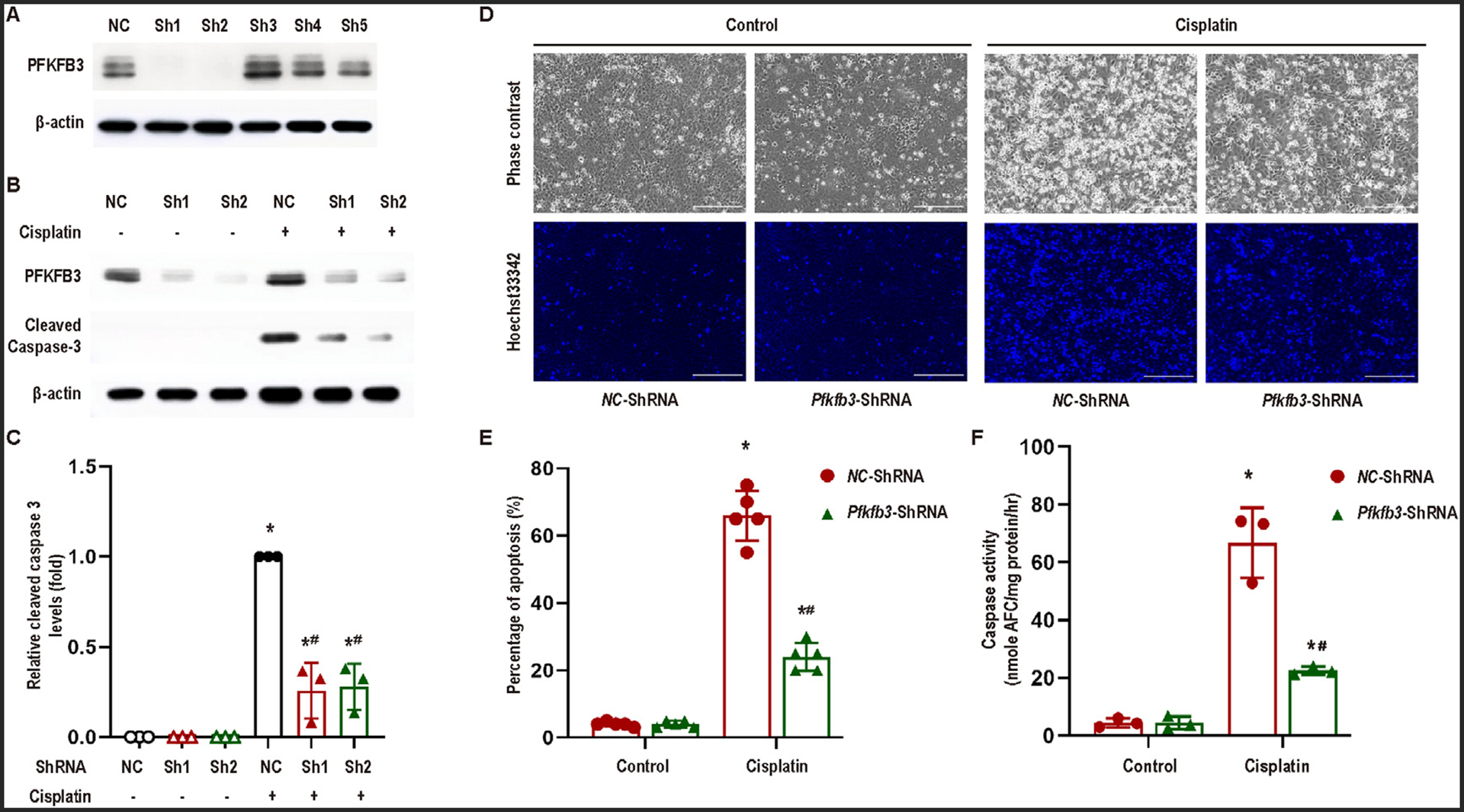 Fig 3.