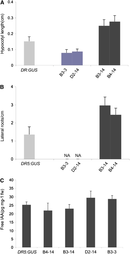 Figure 2.