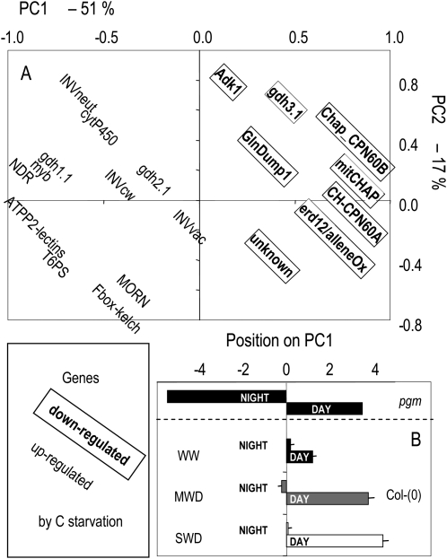 Figure 7.