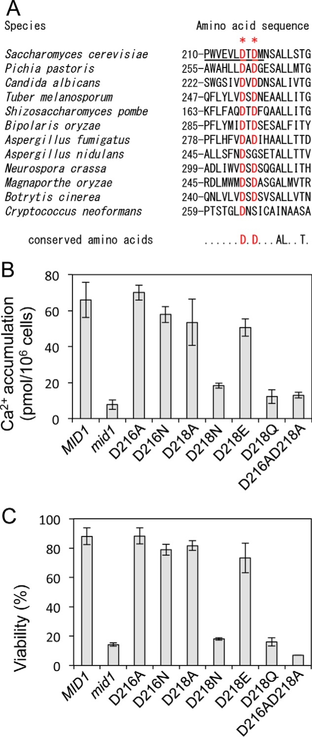 Figure 5.