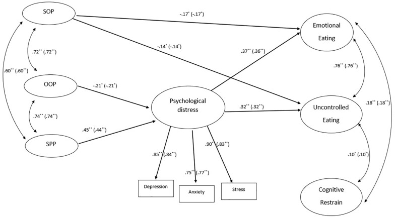 FIGURE 1