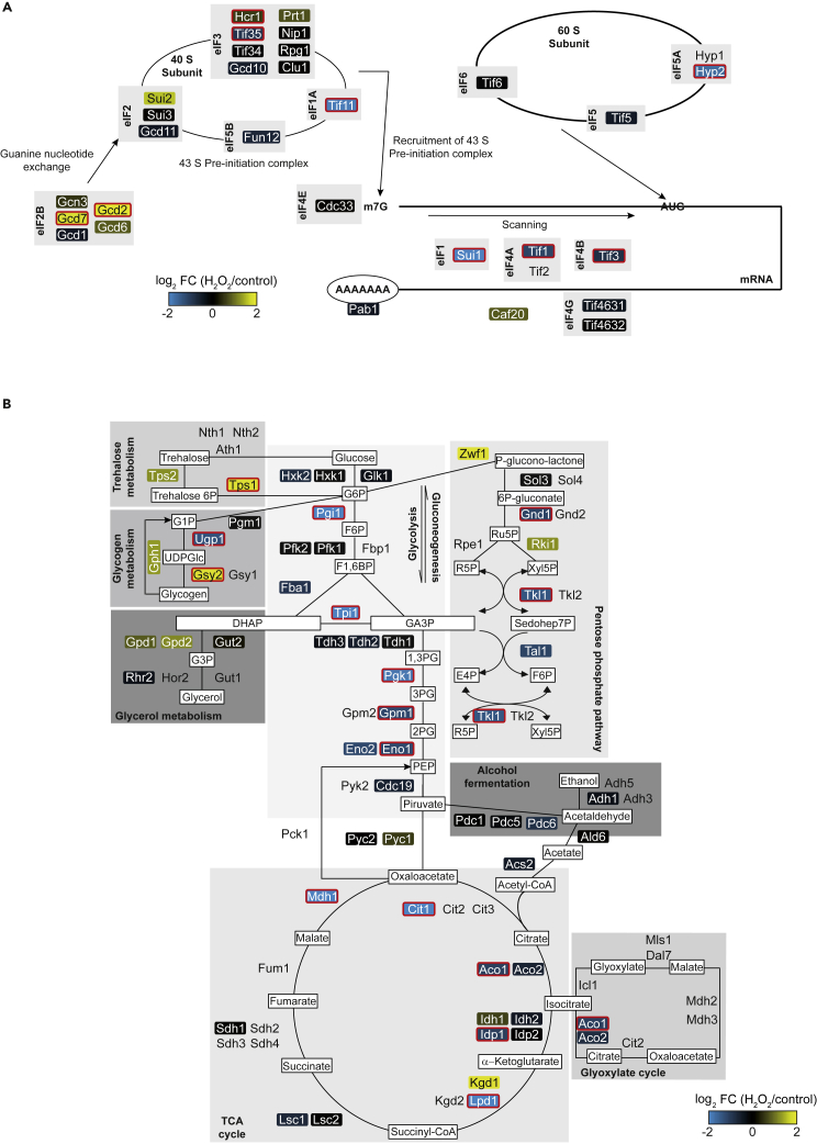 Figure 2