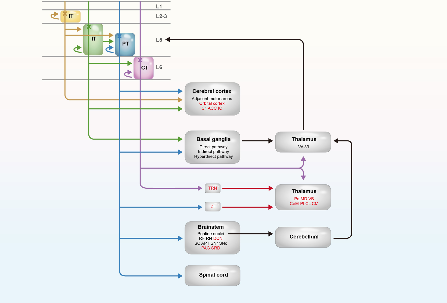 graphic file with name nihms-2013330-f0001.jpg