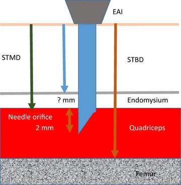 Fig. 1