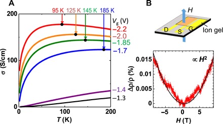 Fig. 4