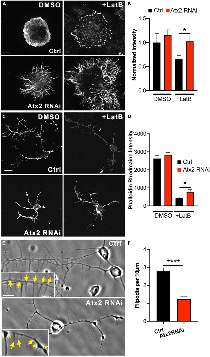 Figure 2