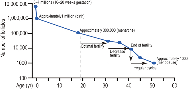 Figure 1: