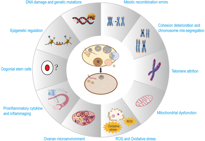 Figure 2: