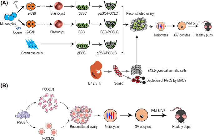 Figure 3: