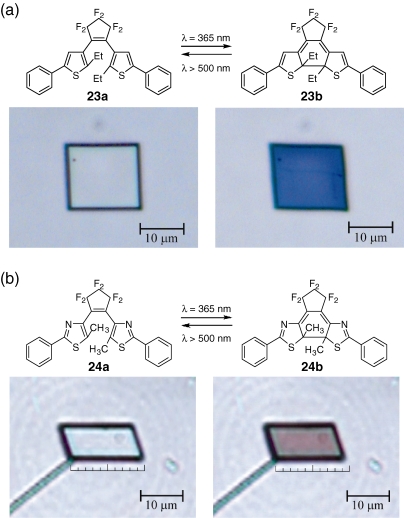 Figure 12. 