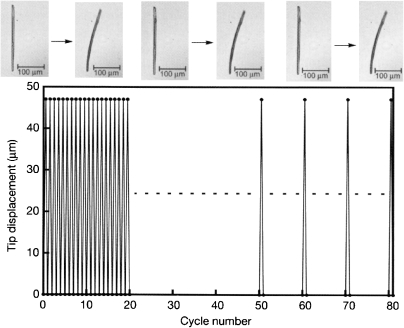 Figure 13. 