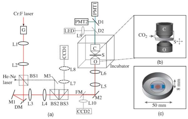 Fig. 1