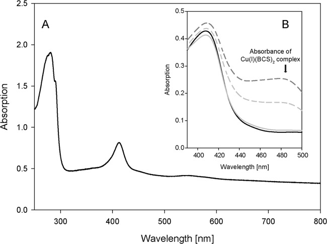 FIG 6