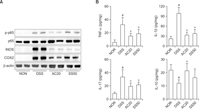 Fig. 8.