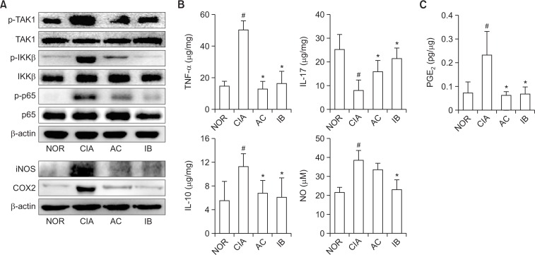 Fig. 11.