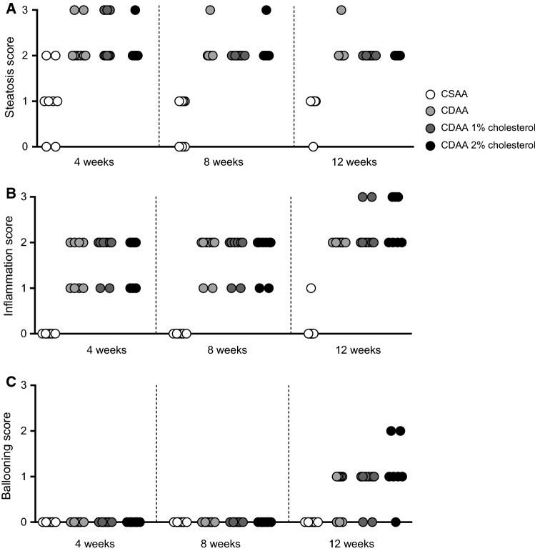 Fig. 3