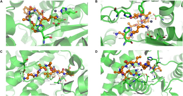 FIGURE 6