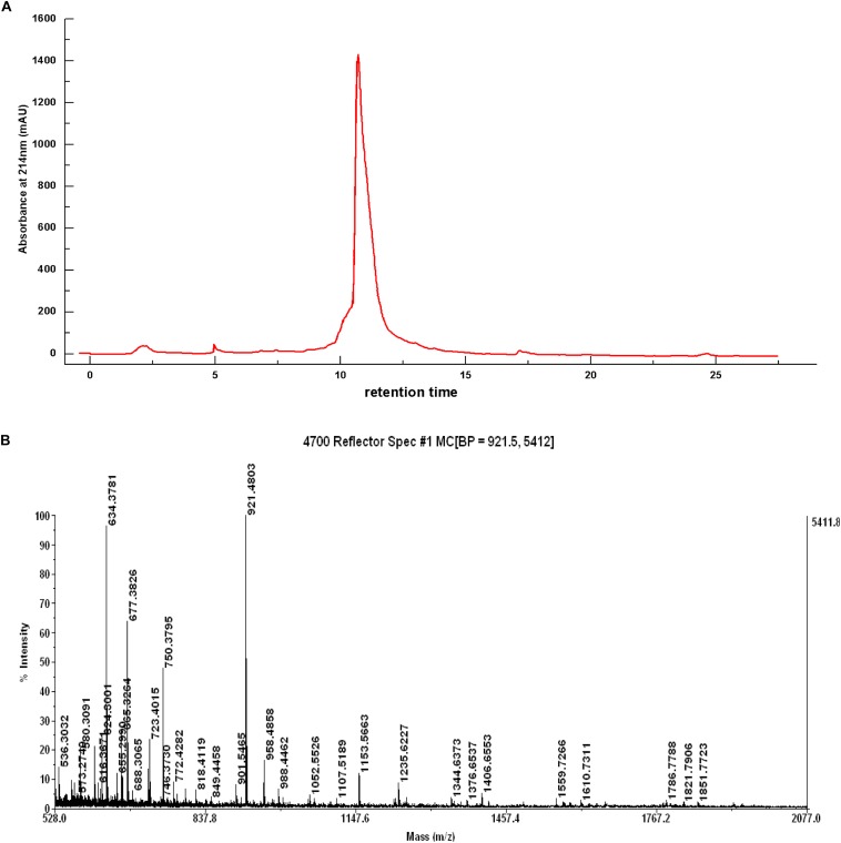 FIGURE 4