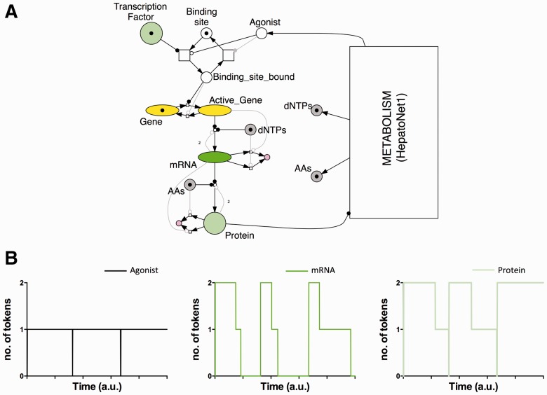 Fig. 2.