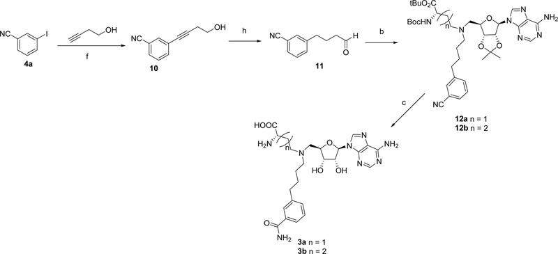 Scheme 5.