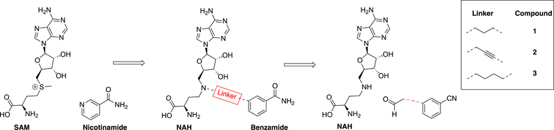 Figure 2.