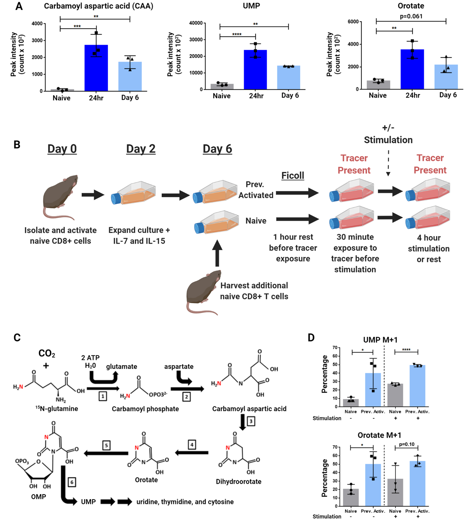 Figure 2: