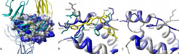 Figure 10