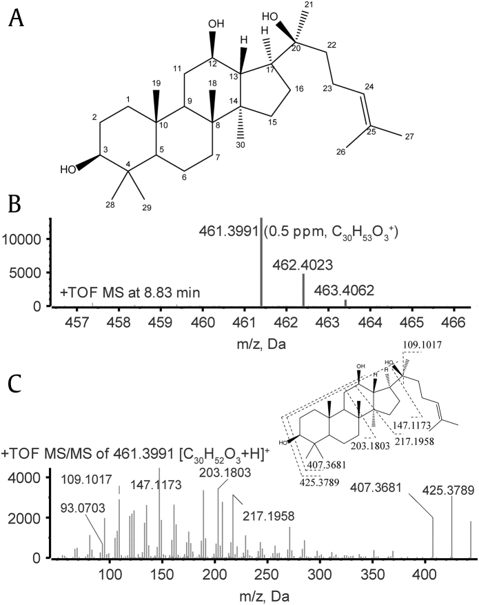 Fig. 1