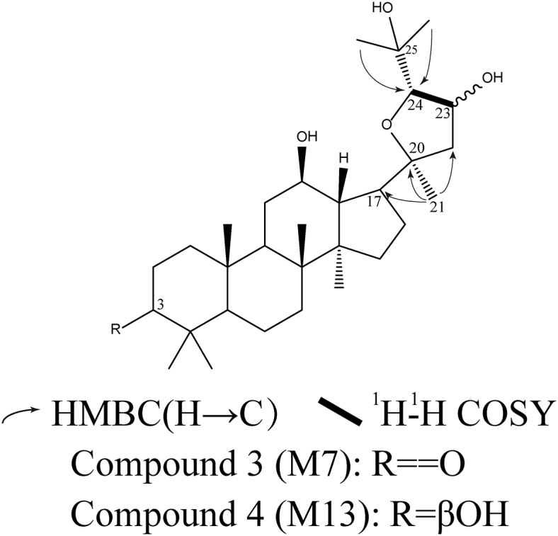 Fig. 7