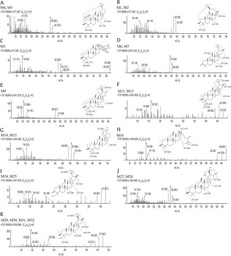 Fig. 3