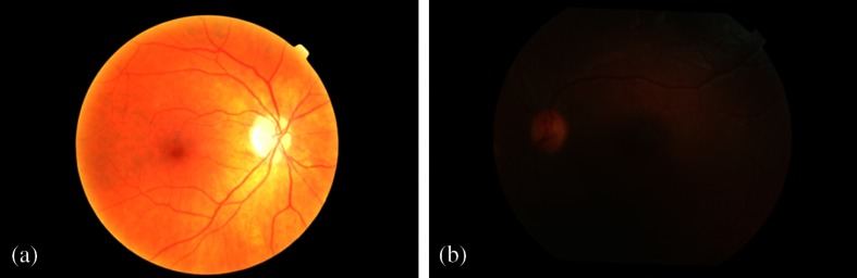 Fig. 8