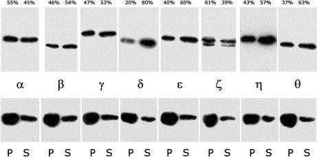 Fig 3.