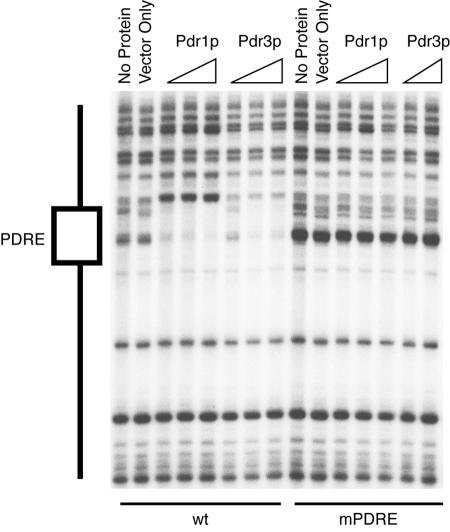 FIG. 5.