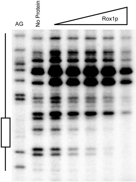 FIG. 7.